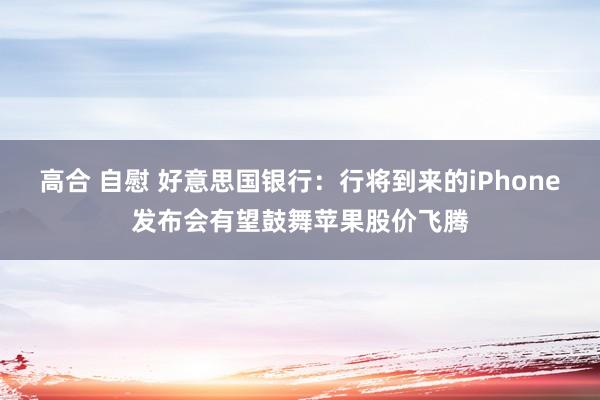 高合 自慰 好意思国银行：行将到来的iPhone发布会有望鼓舞苹果股价飞腾