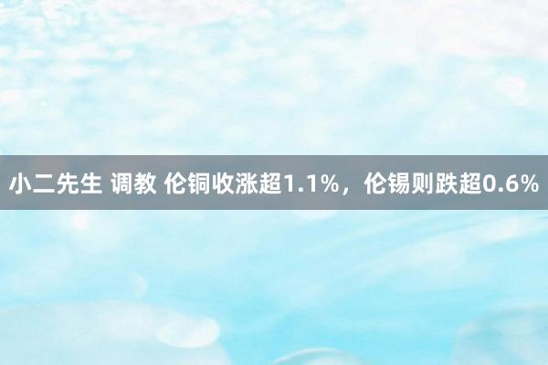 小二先生 调教 伦铜收涨超1.1%，伦锡则跌超0.6%