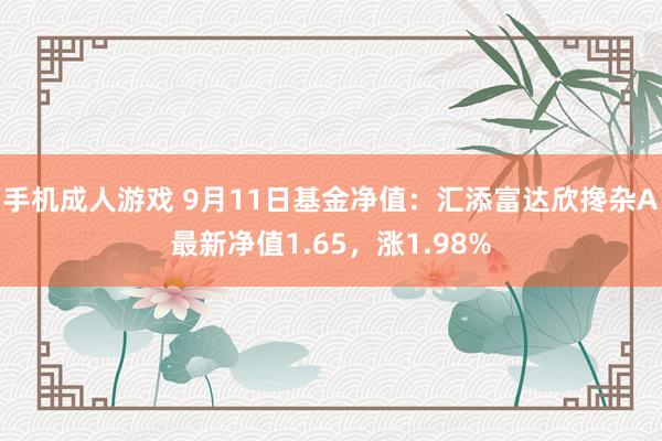 手机成人游戏 9月11日基金净值：汇添富达欣搀杂A最新净值1.65，涨1.98%