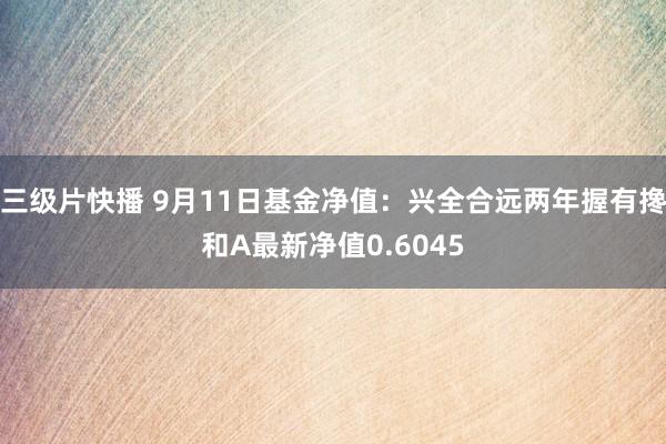 三级片快播 9月11日基金净值：兴全合远两年握有搀和A最新净值0.6045