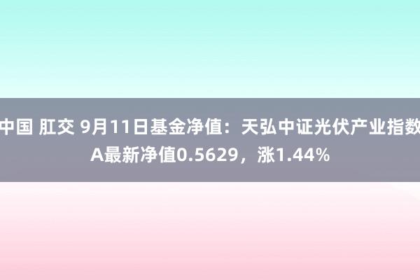 中国 肛交 9月11日基金净值：天弘中证光伏产业指数A最新净值0.5629，涨1.44%