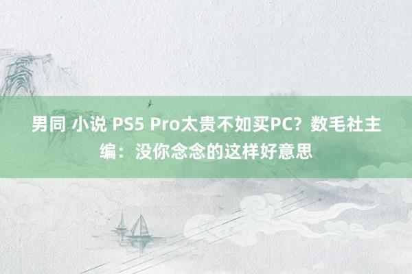 男同 小说 PS5 Pro太贵不如买PC？数毛社主编：没你念念的这样好意思