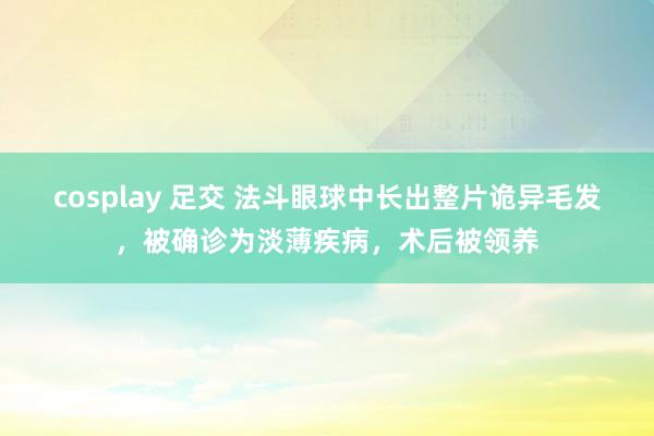 cosplay 足交 法斗眼球中长出整片诡异毛发，被确诊为淡薄疾病，术后被领养