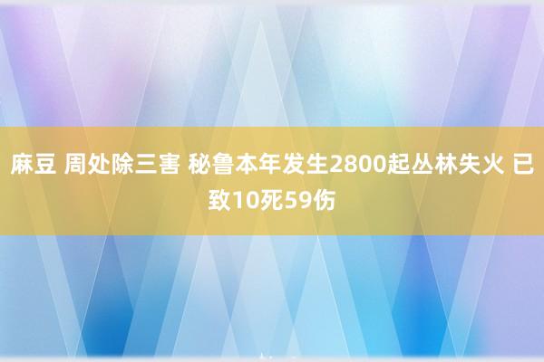 麻豆 周处除三害 秘鲁本年发生2800起丛林失火 已致10死59伤