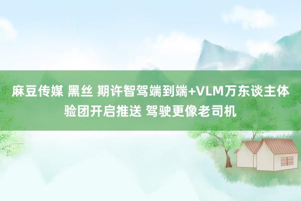 麻豆传媒 黑丝 期许智驾端到端+VLM万东谈主体验团开启推送 驾驶更像老司机