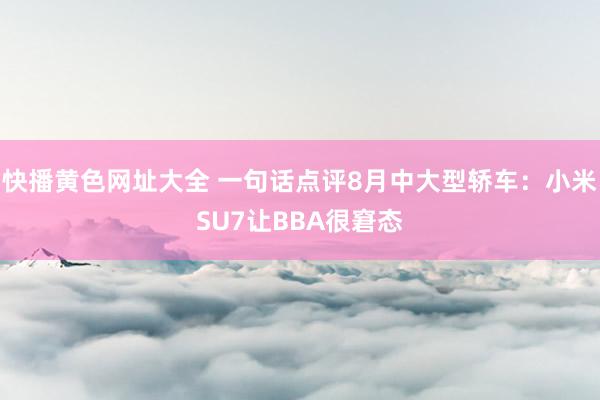 快播黄色网址大全 一句话点评8月中大型轿车：小米SU7让BBA很窘态