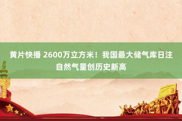 黄片快播 2600万立方米！我国最大储气库日注自然气量创历史新高