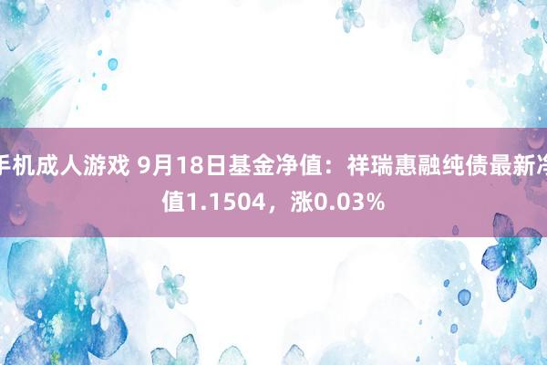 手机成人游戏 9月18日基金净值：祥瑞惠融纯债最新净值1.1504，涨0.03%