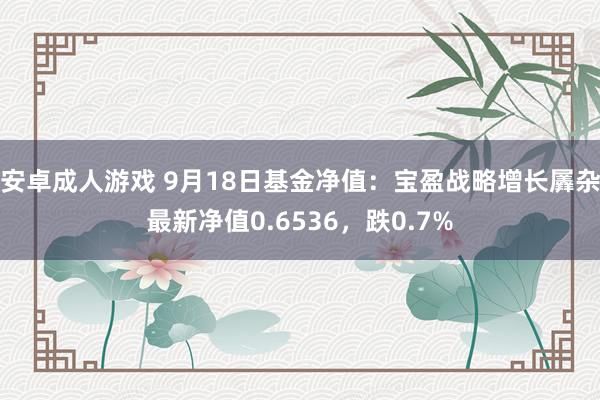 安卓成人游戏 9月18日基金净值：宝盈战略增长羼杂最新净值0.6536，跌0.7%