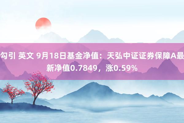 勾引 英文 9月18日基金净值：天弘中证证券保障A最新净值0.7849，涨0.59%