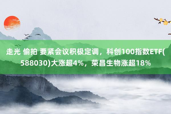 走光 偷拍 要紧会议积极定调，科创100指数ETF(588030)大涨超4%，荣昌生物涨超18%