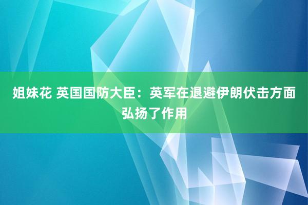 姐妹花 英国国防大臣：英军在退避伊朗伏击方面弘扬了作用