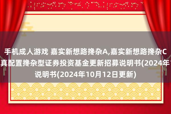 手机成人游戏 嘉实新想路搀杂A，嘉实新想路搀杂C: 嘉实新想路纯真配置搀杂型证券投资基金更新招募说明书(2024年10月12日更新)