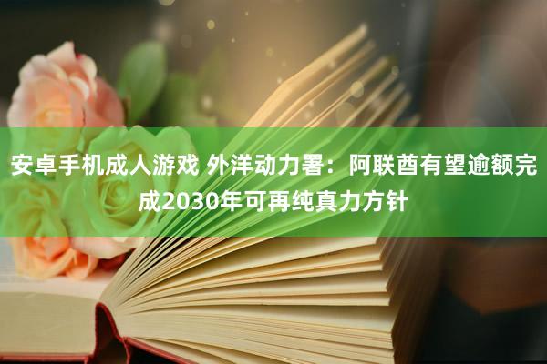 安卓手机成人游戏 外洋动力署：阿联酋有望逾额完成2030年可再纯真力方针