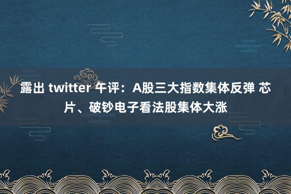 露出 twitter 午评：A股三大指数集体反弹 芯片、破钞电子看法股集体大涨