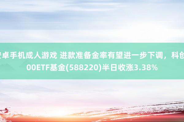 安卓手机成人游戏 进款准备金率有望进一步下调，科创100ETF基金(588220)半日收涨3.38%