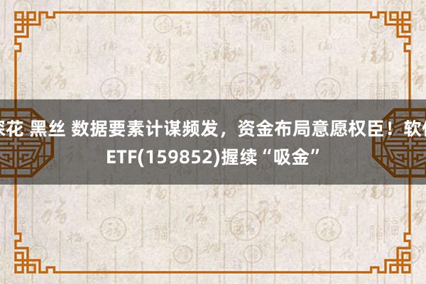 探花 黑丝 数据要素计谋频发，资金布局意愿权臣！软件ETF(159852)握续“吸金”