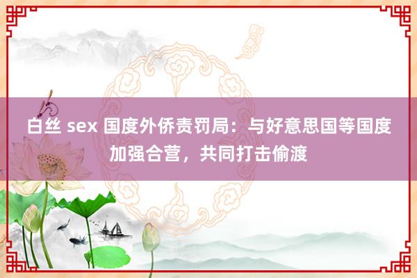 白丝 sex 国度外侨责罚局：与好意思国等国度加强合营，共同打击偷渡