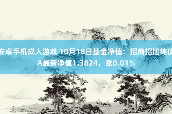 安卓手机成人游戏 10月18日基金净值：招商招旭纯债A最新净值1.3824，涨0.01%