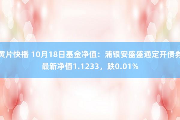 黄片快播 10月18日基金净值：浦银安盛盛通定开债券最新净值1.1233，跌0.01%