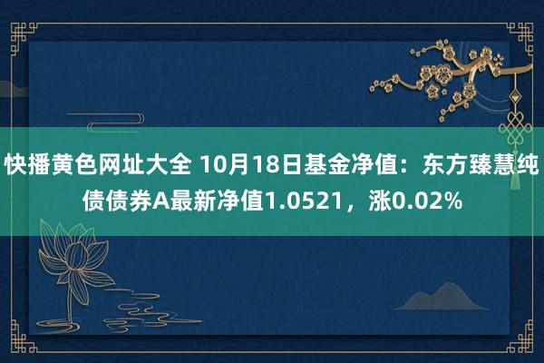 快播黄色网址大全 10月18日基金净值：东方臻慧纯债债券A最新净值1.0521，涨0.02%