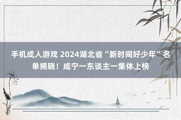 手机成人游戏 2024湖北省“新时间好少年”名单揭晓！咸宁一东谈主一集体上榜