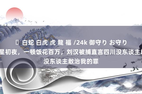 ✨白蛇 白虎 虎 龍 福 /24k 御守り お守り 30万买女星初夜，一顿饭花百万，刘汉被捕直言四川没东谈主敢治我的罪