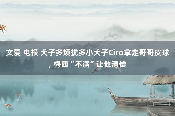 文爱 电报 犬子多烦扰多小犬子Ciro拿走哥哥皮球， 梅西“不满”让他清偿