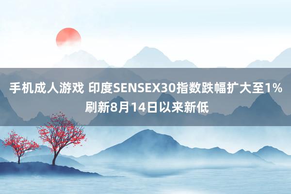 手机成人游戏 印度SENSEX30指数跌幅扩大至1% 刷新8月14日以来新低