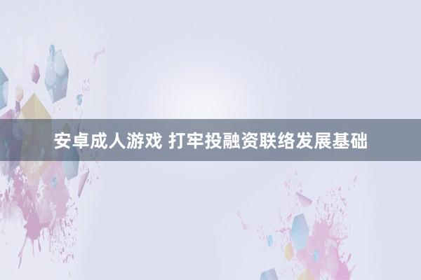 安卓成人游戏 打牢投融资联络发展基础