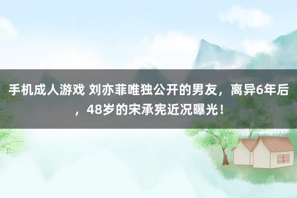 手机成人游戏 刘亦菲唯独公开的男友，离异6年后，48岁的宋承宪近况曝光！