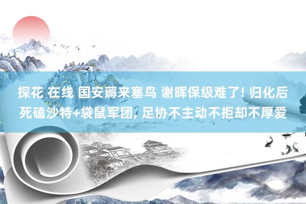 探花 在线 国安薅来塞鸟 谢晖保级难了! 归化后死磕沙特+袋鼠军团， 足协不主动不拒却不厚爱