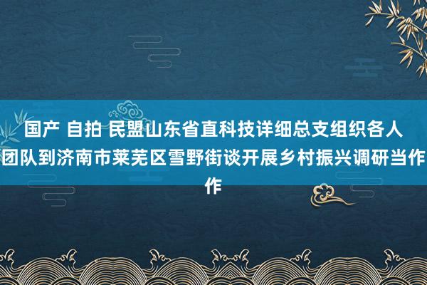 国产 自拍 民盟山东省直科技详细总支组织各人团队到济南市莱芜区雪野街谈开展乡村振兴调研当作