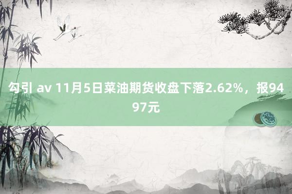 勾引 av 11月5日菜油期货收盘下落2.62%，报9497元