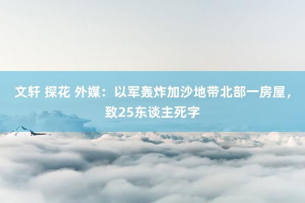 文轩 探花 外媒：以军轰炸加沙地带北部一房屋，致25东谈主死字