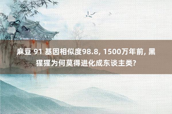 麻豆 91 基因相似度98.8， 1500万年前， 黑猩猩为何莫得进化成东谈主类?