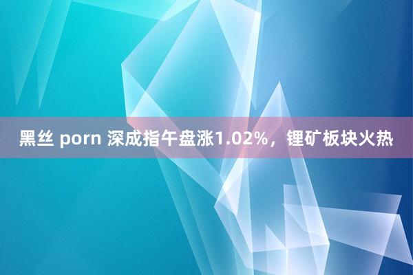 黑丝 porn 深成指午盘涨1.02%，锂矿板块火热