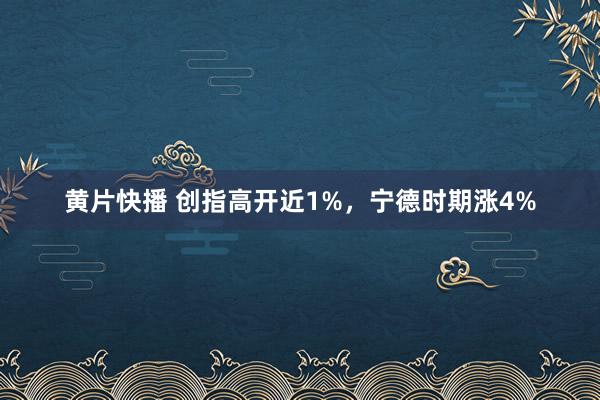 黄片快播 创指高开近1%，宁德时期涨4%