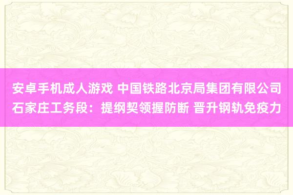 安卓手机成人游戏 中国铁路北京局集团有限公司石家庄工务段：提纲契领握防断 晋升钢轨免疫力