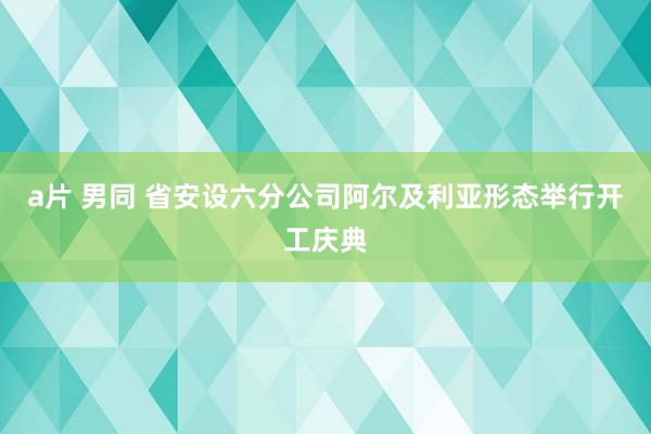 a片 男同 省安设六分公司阿尔及利亚形态举行开工庆典