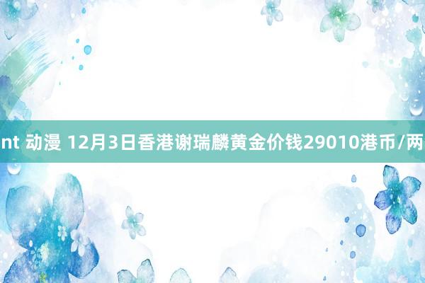 nt 动漫 12月3日香港谢瑞麟黄金价钱29010港币/两