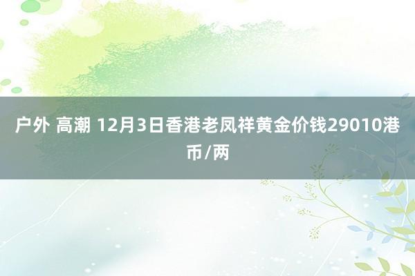 户外 高潮 12月3日香港老凤祥黄金价钱29010港币/两