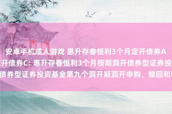 安卓手机成人游戏 惠升存眷恒利3个月定开债券A，惠升存眷恒利3个月定开债券C: 惠升存眷恒利3个月按期洞开债券型证券投资基金第九个洞开期洞开申购、赎回和调节业务的公告