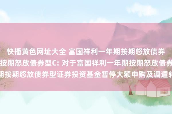 快播黄色网址大全 富国祥利一年期按期怒放债券型A，富国祥利一年期按期怒放债券型C: 对于富国祥利一年期按期怒放债券型证券投资基金暂停大额申购及调遣转入业务的公告