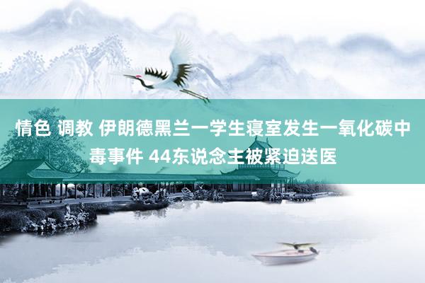 情色 调教 伊朗德黑兰一学生寝室发生一氧化碳中毒事件 44东说念主被紧迫送医