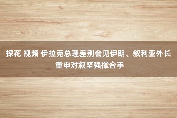 探花 视频 伊拉克总理差别会见伊朗、叙利亚外长 重申对叙坚强撑合手