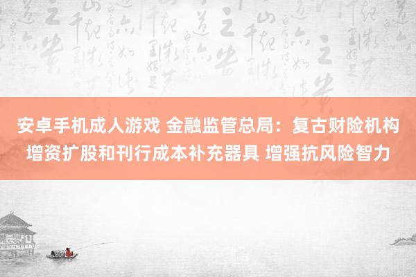 安卓手机成人游戏 金融监管总局：复古财险机构增资扩股和刊行成本补充器具 增强抗风险智力