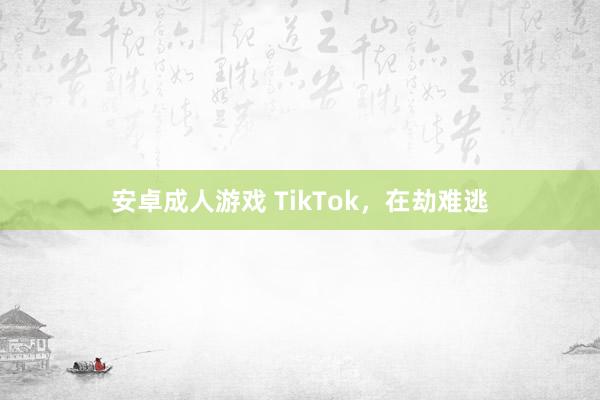 安卓成人游戏 TikTok，在劫难逃