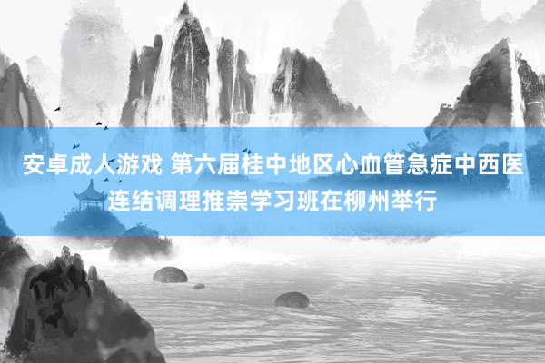 安卓成人游戏 第六届桂中地区心血管急症中西医连结调理推崇学习班在柳州举行