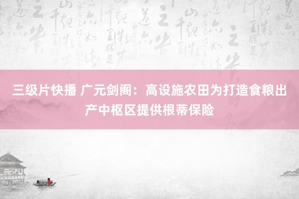 三级片快播 广元剑阁：高设施农田为打造食粮出产中枢区提供根蒂保险